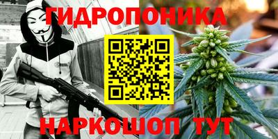 гашик Краснокаменск