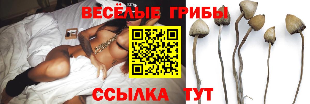 Галлюциногенные грибы MAGIC MUSHROOMS  Галлюциногенные грибы ЛСД  Вход с VPN  Гусь-Хрустальный 